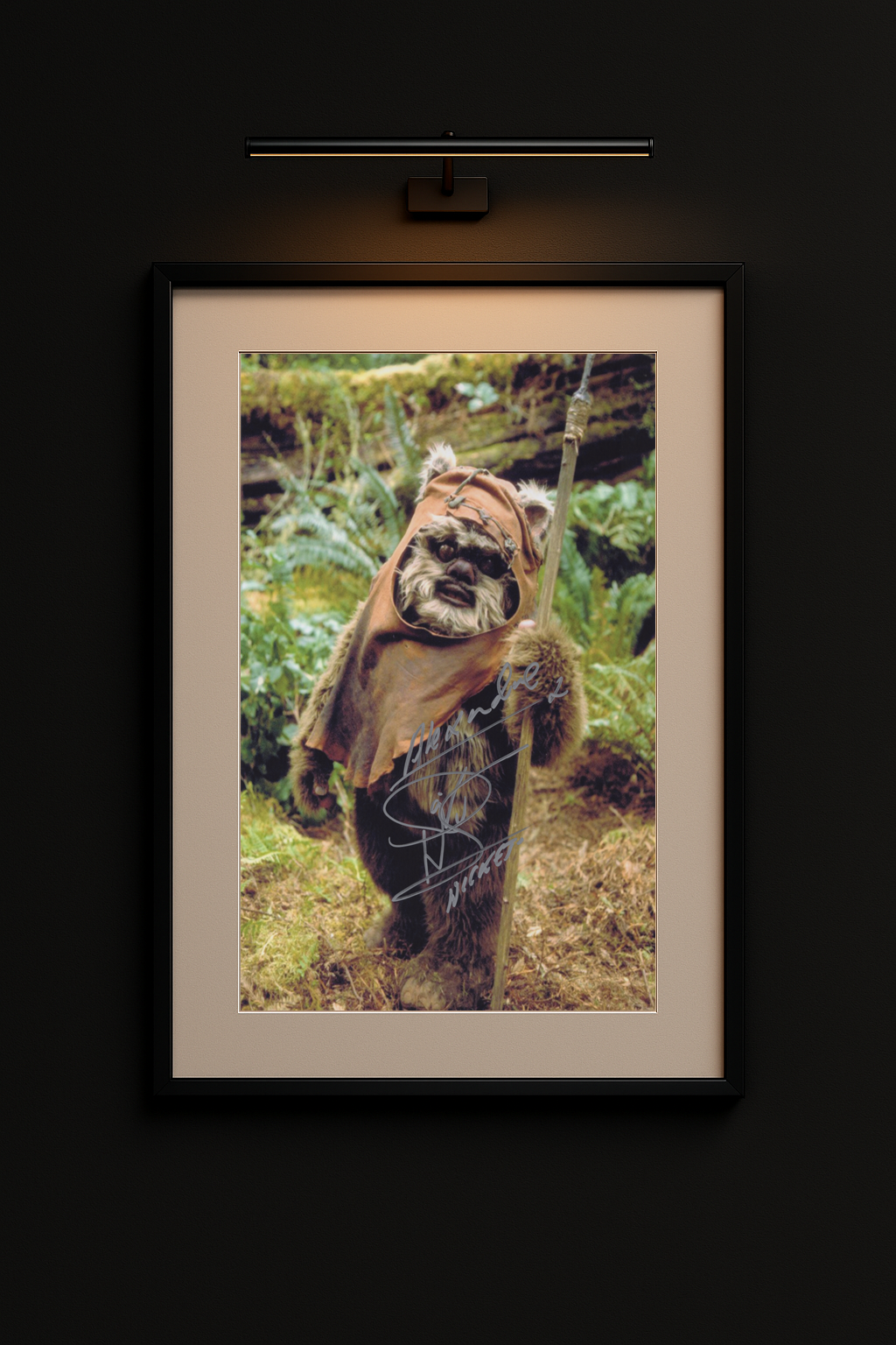 Warwick Davis